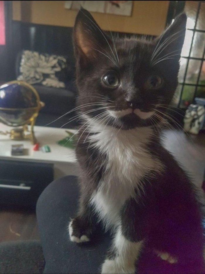 1577240413 508 17 fotos que mostram como as coincidencias aparecem por toda