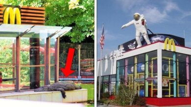 20 Dos McDonald’s mais diferentões do mundo