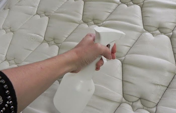 como eliminar o cheiro de xixi no sofa colchao e banheiro