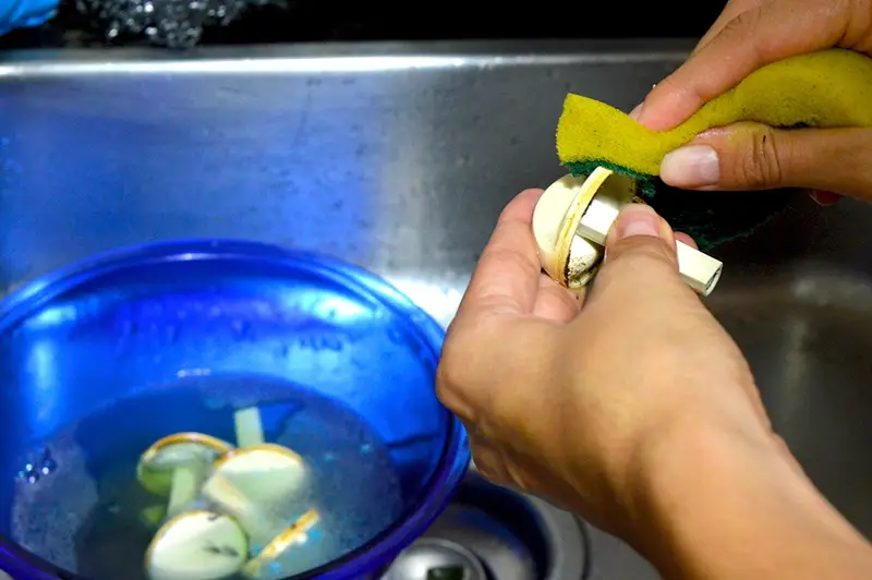 1751569387 970 como limpar as pecas do fogao sem sofrer DSC_0155