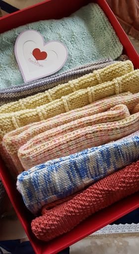 1493727083 431 este bebe pesa apenas 230g mas depois de nascido sua mae encontra isso em seu berco