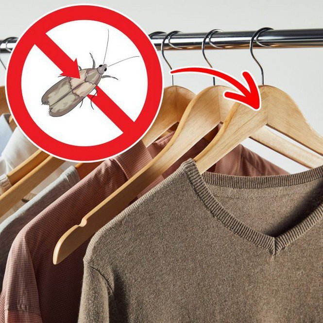 1644858995 329 11 objetos que achavamos que conheciamos mas na verdade usamos