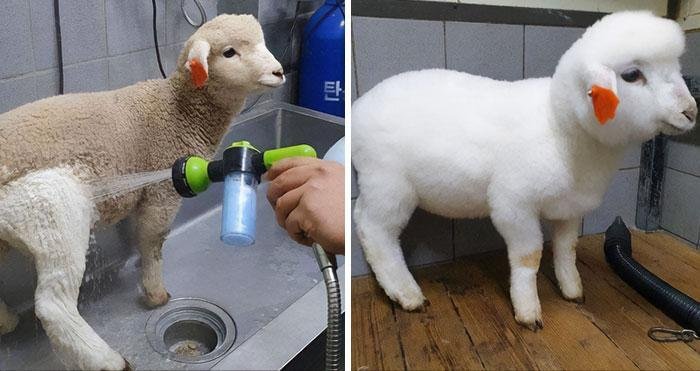 22 antes e depois que sao incrivelmente satisfatorias 22 Fotos de antes e depois que sao incrivelmente satisfatorias