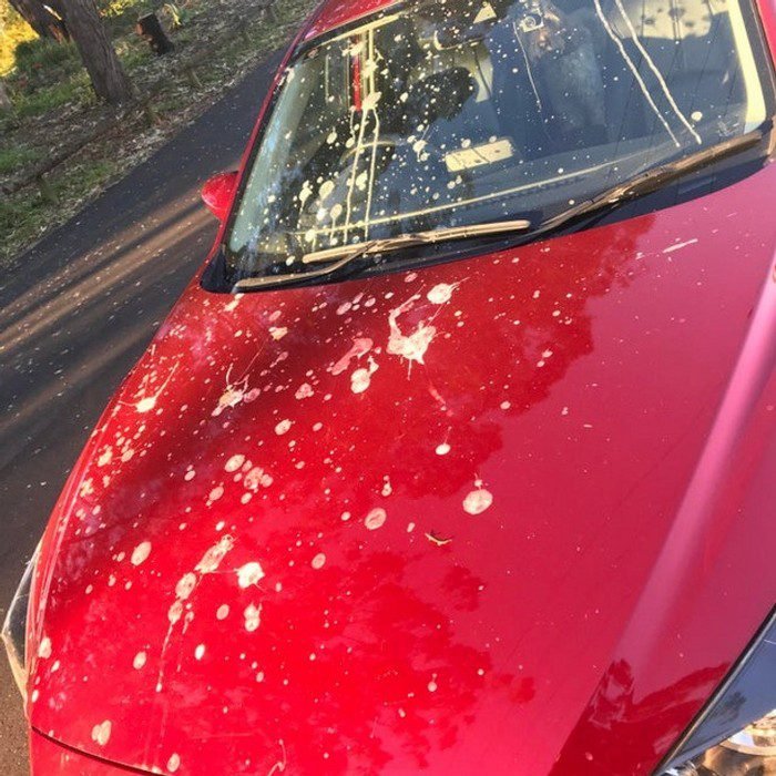 23 pessoas que sabem exatamente o que o azar significa 23 Pessoas que sabem perfeitamente o que o azar significa