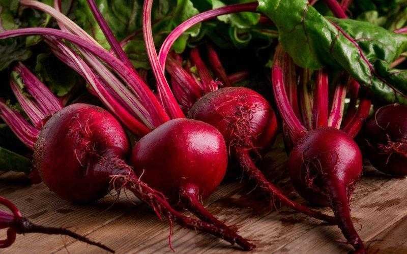 5 beneficios excelentes da beterraba para sua saude 5 benefícios excelentes da beterraba para sua saúde