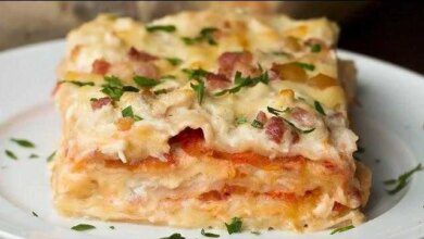 5 Receitas de lasanhas deliciosas