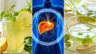 6 bebidas que voce toma a noite para desintoxicar o 6 Bebidas Que Você Toma à Noite Para Desintoxicar O Fígado Durante O Sono