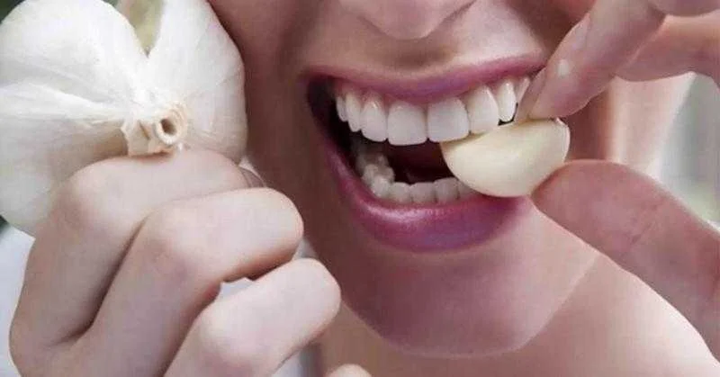 alho e 100 vezes mais eficaz contra bacterias do que Alho %C3%A9 100 vezes MAIS EFICAZ contra Bact%C3%A9rias do que Antibi%C3%B3ticos comuns garante pesquisa d