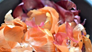 Benefícios das Cascas de Cebola