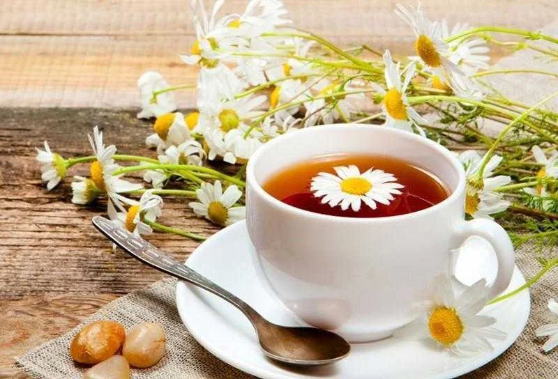Benefícios do chá de camomila pode fazer para sua saúde
