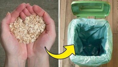 Como deixar a casa mais cheirosa com estas 12 dicas