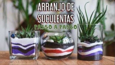 Como Fazer Arranjo De Suculentas Com Camadas De Areia Colorida
