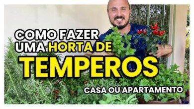 como fazer uma mini horta de temperos em casa Como Fazer Uma Mini Horta de Temperos em Casa
