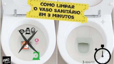 Como limpar o vaso sanitário em apenas 3 minutos!