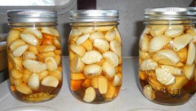 Conheça os benefícios da combinação de alho e vinagre de maçã