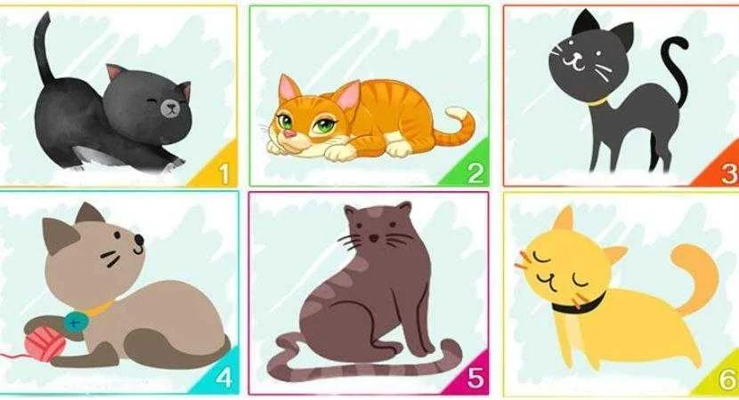 escolha um dos gatos e ele revelara informacoes importantes sobre Escolha um dos gatos e ele revelará informações importantes sobre sua personalidade