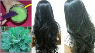 Essa Hidratação Fará Seu Cabelo Crescer Como Nunca Antes!