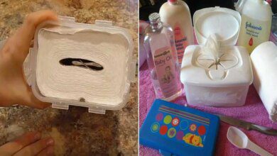 Lenço umedecido caseiro: faça o seu para higiene infantil e limpeza doméstica