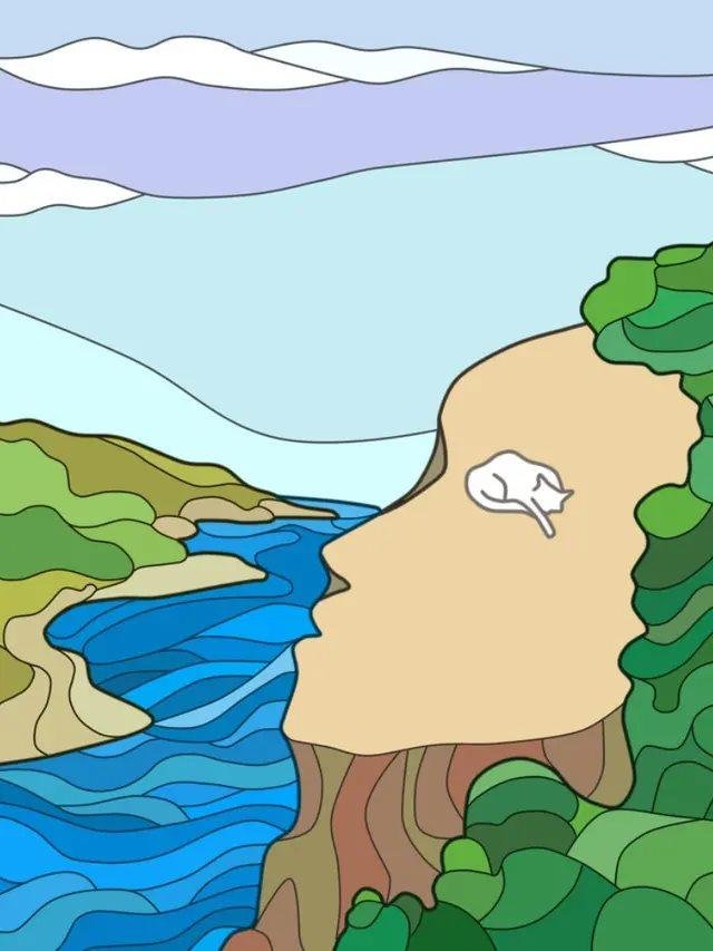 1614281851 32 Penhasco rosto ou gato a primeira coisa que voce ve