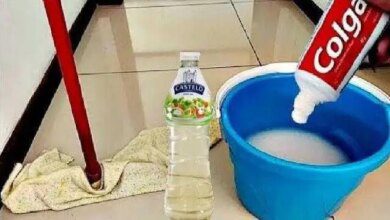 PISO LIMPO e CHEIROSO 72 HORAS Fazendo Isso 1 SÓ Vez