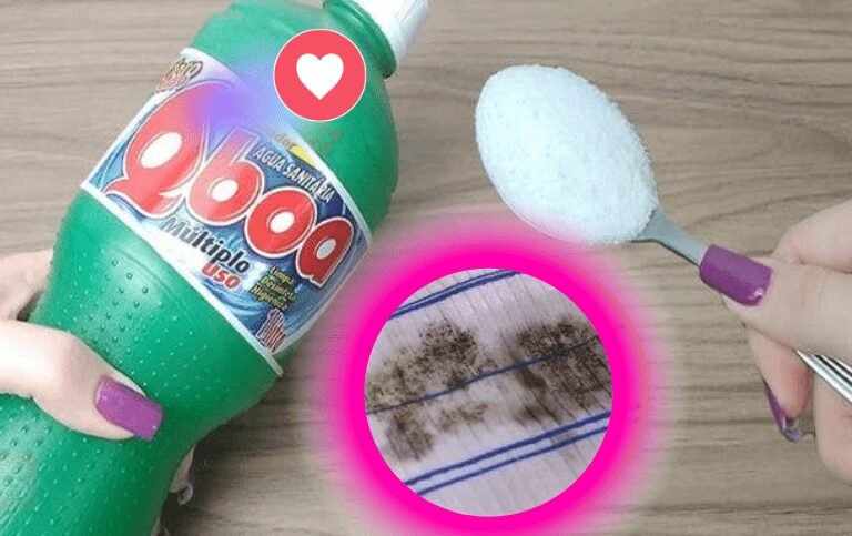 Receita Caseira para remover mofo nos panos de prato e