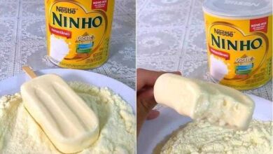 Receita de Picolé de Leite em Pó