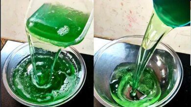 Sabão Líquido Caseiro de Limão e Bicarbonato