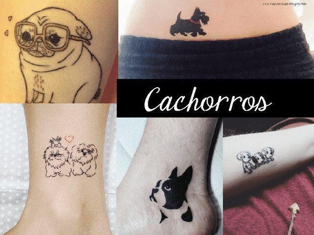 Tatuagens de Cachorro 50 Fotos Inspiradoras para fazer hoje 2