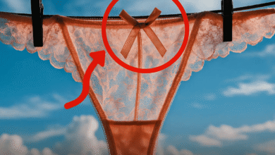 Você sabe por que as calcinhas têm um laço na frente?