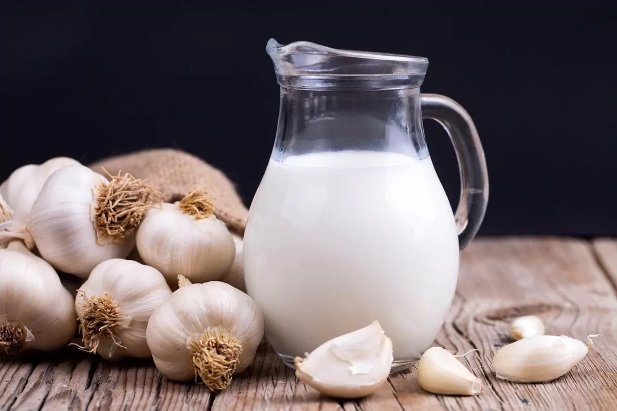 alho em leite Alho em Leite
