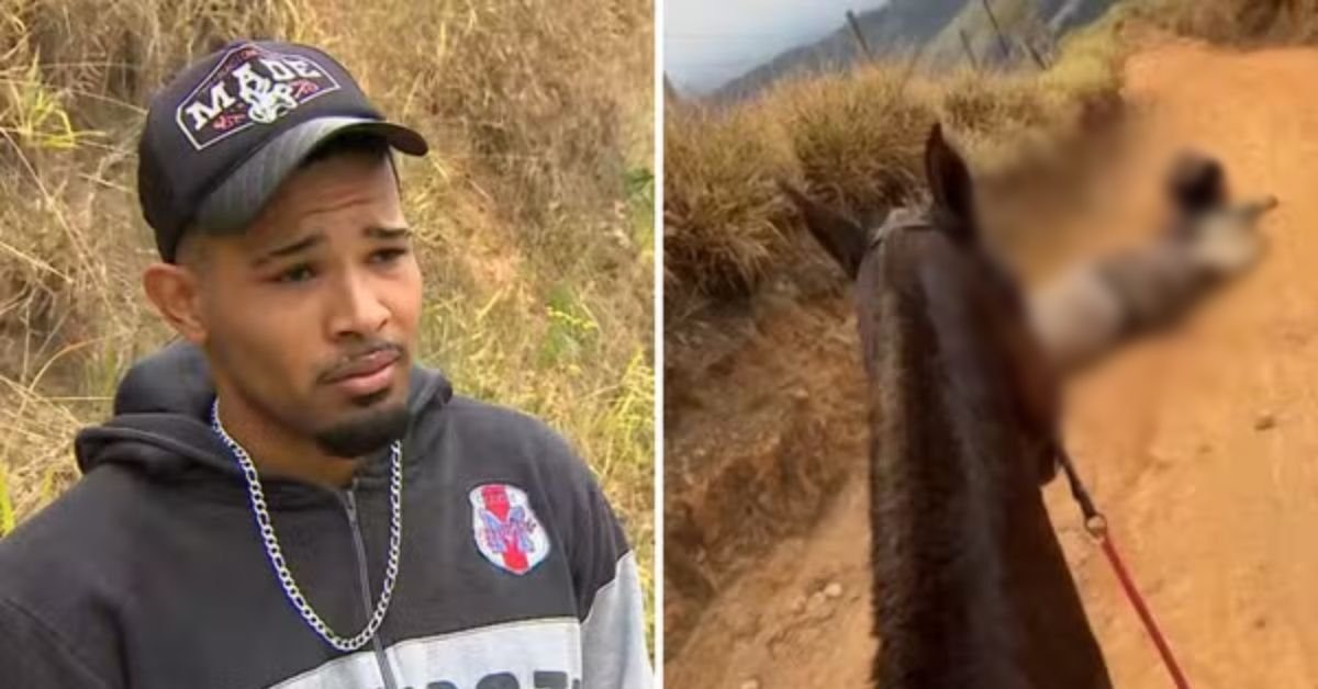 homem que provocou a morte de cavalo em cavalgada se Homem que provocou a morte de cavalo em cavalgada se pronuncia sobre ato
