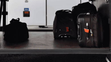 Mulher é presa após bebê de 2 anos ser encontrada viva dentro de mala em ônibus na Nova Zelândia