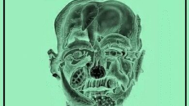 O primeiro animal que você avistar nesta imagem revela o seu “pior defeito”