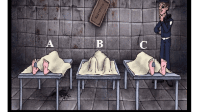 Enigma visual: você consegue descobrir quem ainda está vivo?