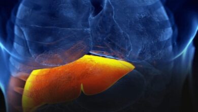 A ciência comprova: 3 frutas que ajudam a limpar o fígado e equilibrar açúcar e colesterol