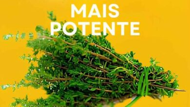 Como Acabar com Infecção Urinária, Gripe, Cândida, Artrite e Ciática com Esta Receita Natural Poderosa