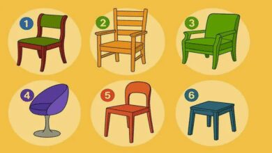 Em qual cadeira você se sentaria? Descubra o que isso revela sobre você