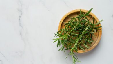 Recipiente com algumas folhas de alecrim. Falando sobre os benefícios do alecrim.