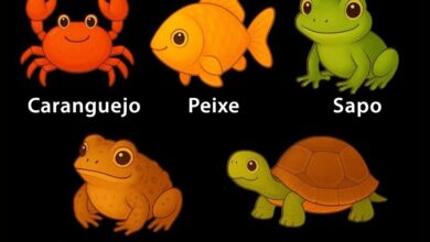 Não trapaceie: escolha o diferente e descubra o quão “complexo” você realmente é