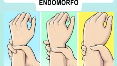 Você é ectomorfo, mesomorfo ou endomorfo? Descubra qual é o seu tipo de corpo e como aproveitar ao máximo cada característica